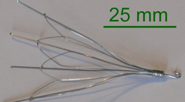 IVC Migration and Perforation