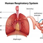 Pulmonary Embolism