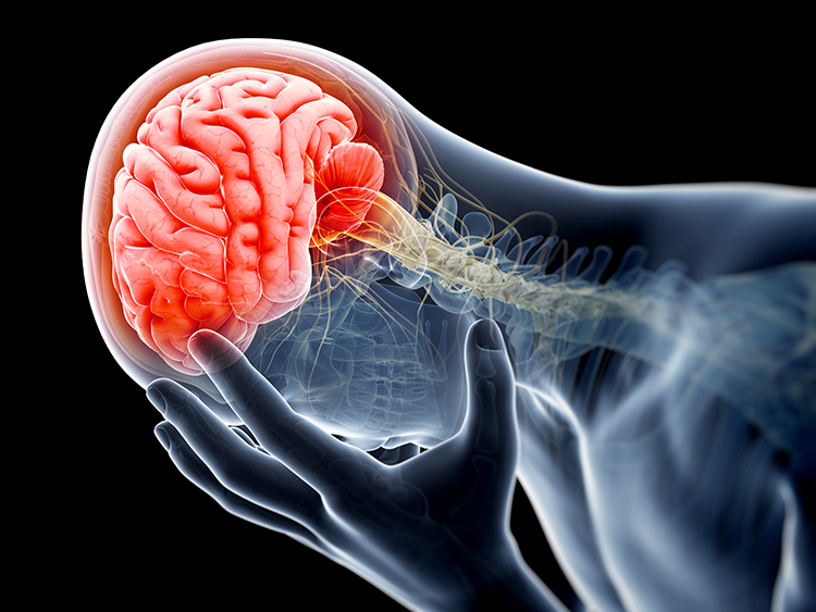 Brain Injuries Often Due to a Lack of Oxygen